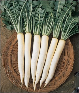 Radish Seeds Menuarly image c