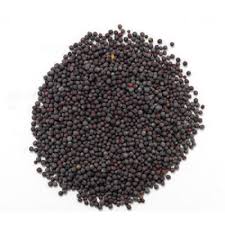 Mustard Seeds Heera image d