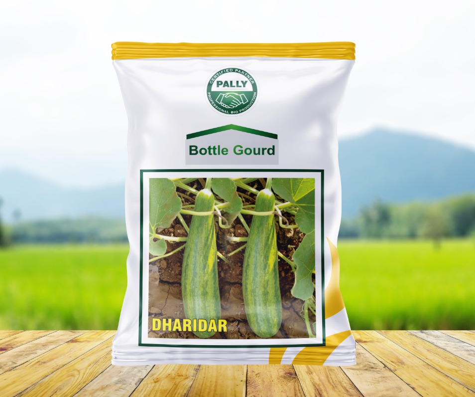 BOTTLE GOURD DHARIDAR image 1